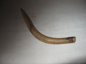 Cavicchio
